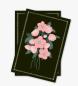 Preview: Greeting cards for every occasion, set of 8, with envelopes