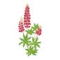 Preview: Sticker transparent, Lupine