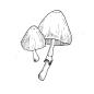 Preview: Rubber stamp - Mushroom No. 6
