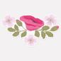 Preview: Sticker transparent Blumenstrauß Mohnblüte Pink