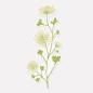 Preview: Wildblumen sticker