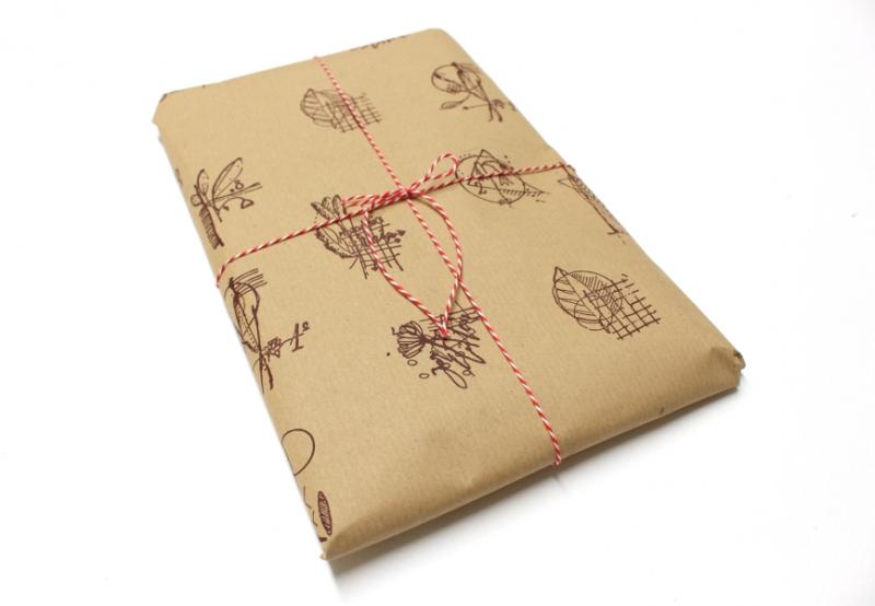 Surprise package No.27