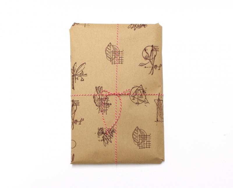 Surprise package No.27