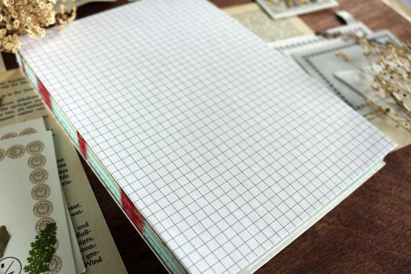 Notebook - Notas Novis No.21