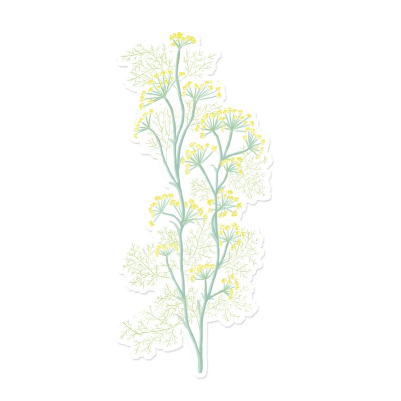 Sticker transparent, Fenchel