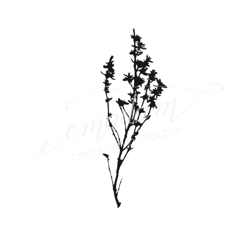 Stamp - Thyme branch
