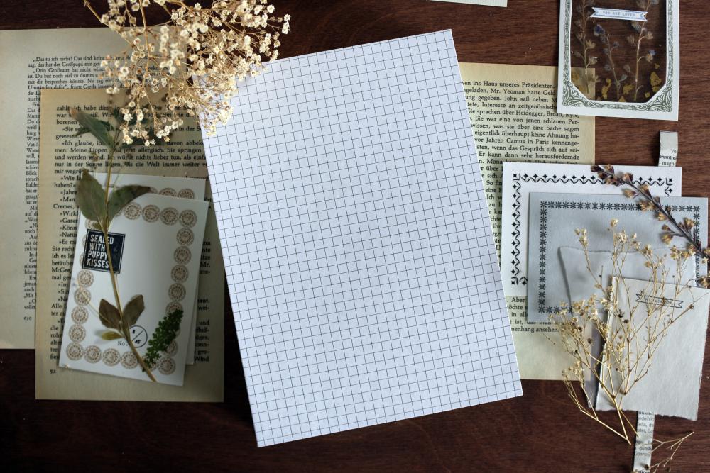 Notebook - Notas Novis No.21