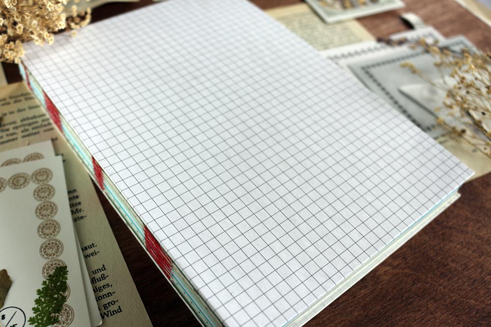 Notebook - Notas Novis No.21