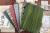 notizheft-journal-emadam-pristine-nature1